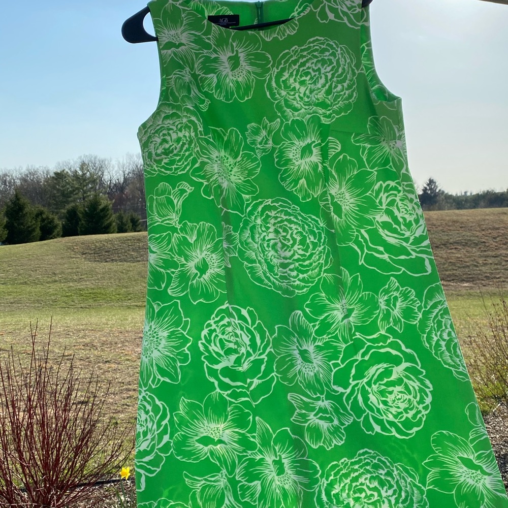 Spring AGB dress